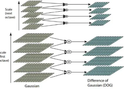 Fig.1 Images in a different scales, and compotation of DoG from [5]  