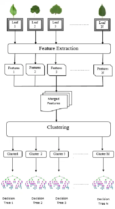 Fig. 3 Flow diagram of Training Phase 