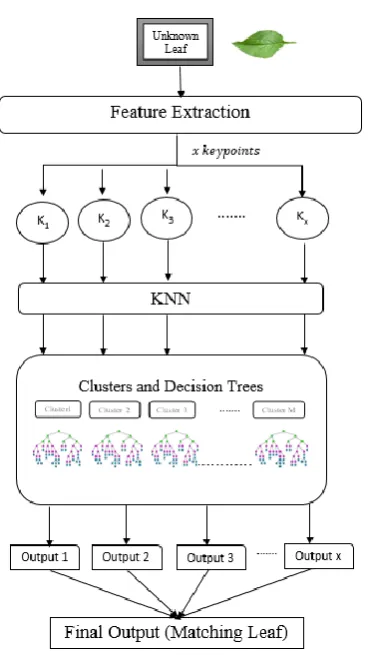 Fig. 4 Flow diagram of Testing Phase  