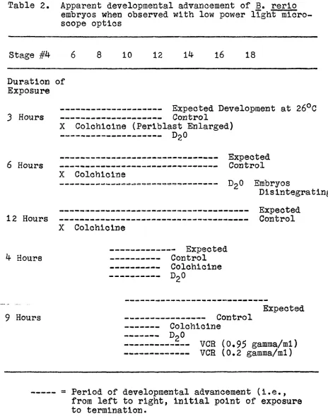 Table 2. Apparent developmental advancement of B. rerlo embryos when observed with low power light micro­