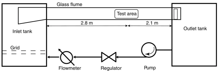 Fig. 1. Schematic view of the experimental facility.