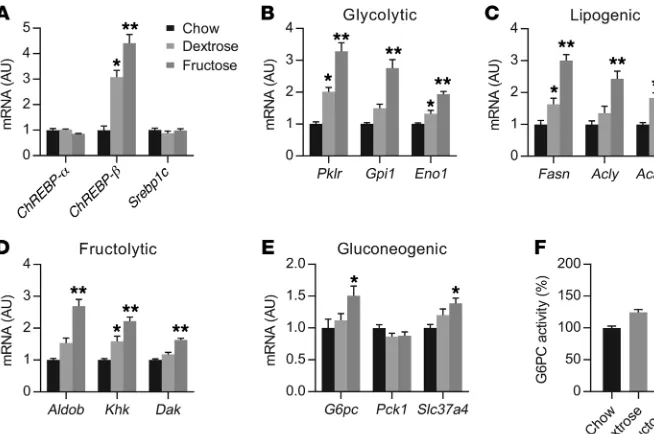 Figure 2. High-fructose feeding activates hepatic ChREBP and its metabolic gene 