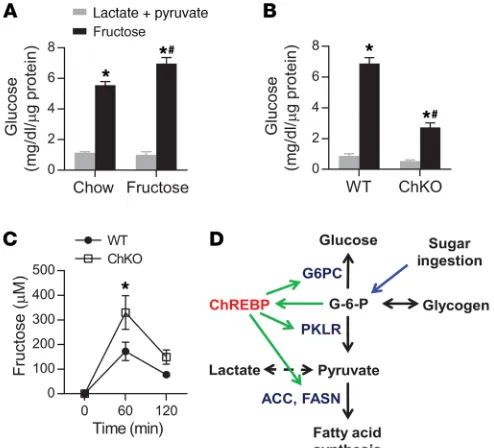 Figure 4. ChREBP is necessary for fructose-induced hepatic gene expres-sion. (A) Hepatic gene expression, (B) hepatic G6PC activity, and (C) hepatic G6P levels were measured in 5-hour-fasted, 8- to 12-week-old WT and ChKO male mice gavaged with water or fr