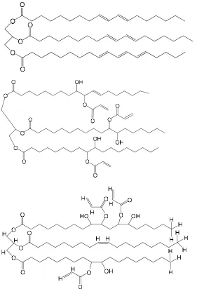 Figure 5. Conjugation of triglyceride molecule followed by two examples of AESO  