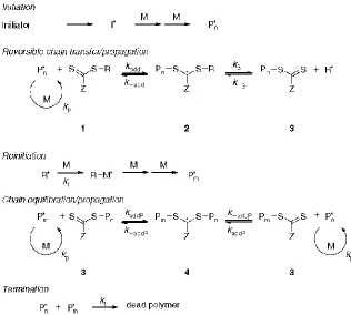 Figure 6. RAFT polymerization mechanism 