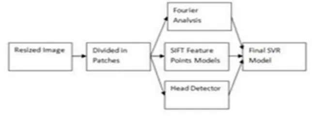 Fig -7 Temporal Tracking Algorithm.[2] 
