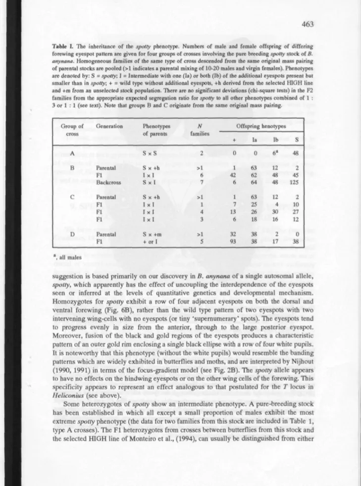 Table I. The inheritance of the spotty phcnotypc. Numbers of male and female offspring of differing forewing eyespol pattern are given for four groups of crosses involving the pure breeding spotty stock of B.