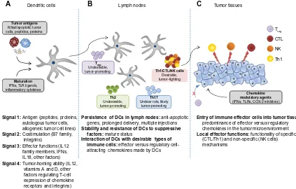 Figure 2 Four types of DC-mediated signals regulating the magnitude and quality of tumor-specific T-cell responses.Notes: (A) An effective cancer vaccine needs to promote delivery of four types of signals to T-cells