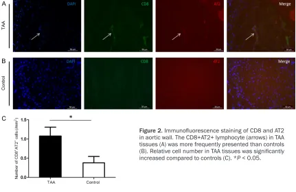 Figure 1. The expression levels of CD8 and AT2 in human TAA tissues. Both CD8 (A) and AT2 (B) were significantly upregulated in TAA tissues