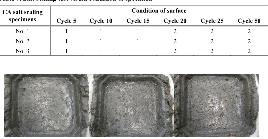 Table 7. Salt scaling test visual condition of specimen 