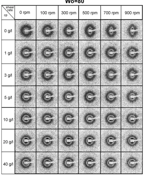 Fig. 8. Two-dimensional scattering patterns for reverse micelle solutions of100 mM AOT in isooctane and W0 = 80 at different lysozyme concentrationsand shear rates.