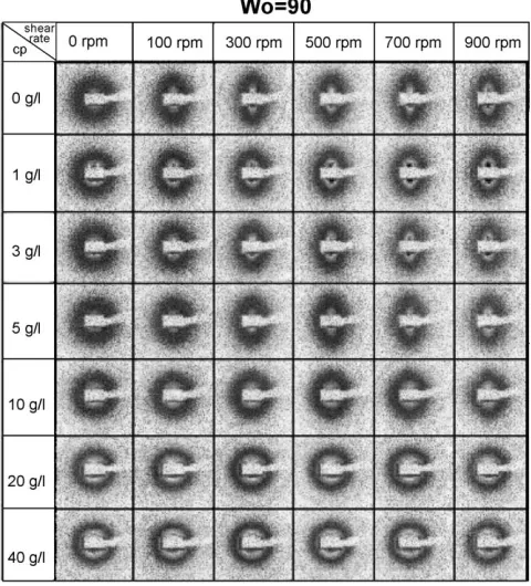 Fig. 10. Two-dimensional scattering patterns of reverse micelle solutions of100 mM AOT in isooctane and W0 = 90 at different lysozyme concentrationsand shear rates.
