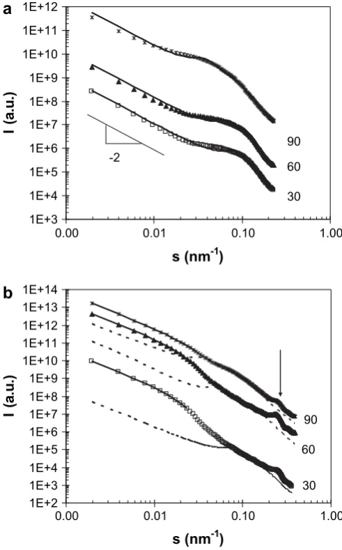 Fig. 7. SAXS curves of amylose-CLA complexes produced at crystallization tempera-tures of (,) 30 �C, (:) 60 �C and (*) 90 �C