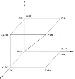 Fig-5: The HSI Solid Model 