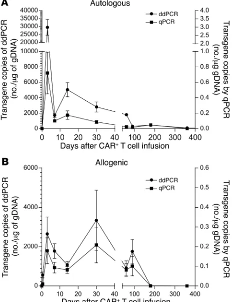 Figure 4. Sustained persistence of infused genetically modified T cells determined by qPCR and ddPCR in serially collected PBMCs after single infusion of genetically modified T cells
