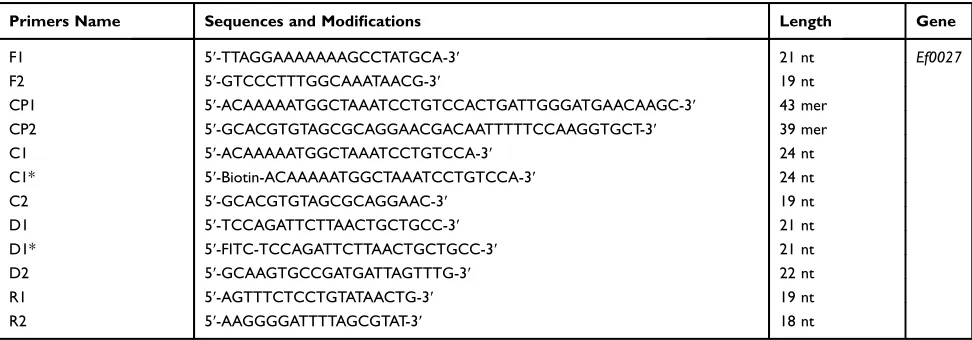 Figure 1 Location and sequence of the Enterococcus faecalis speciﬁc gene Ef0027 appliedfor the MCDA primer design