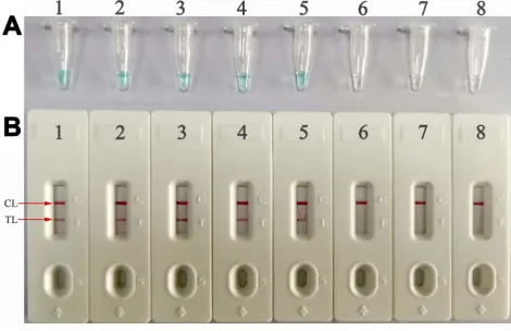 Figure 3 (1target genomic DNA per reaction. The graphs from C to H showed robust ampliA–H) Optimization of reaction temperature for E