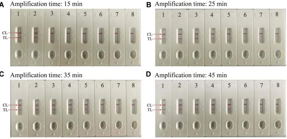 Figure 5 Optimization of amplitested at 62°C, respectively. Biosensors 1, 2, 3, 4, 5, 6, 7, and 8 represent genomic DNA levels of 10 ng, 10 pg, 1 pg, 100 fg, 10 fg, 1 fg, and 100 atto gram per reaction oftarget templates and blank control (DW)
