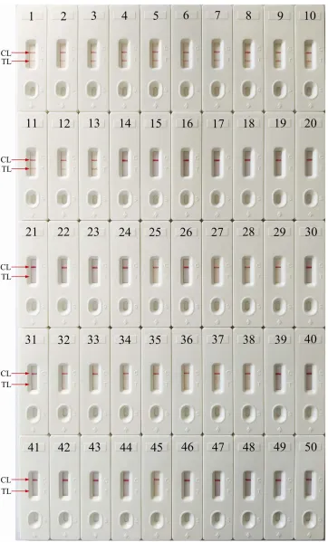 Figure 6 Speciﬁcity analysis of the E. faecalis-MCDA-LFB detection for different strains