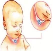 Figure 1. Guidance booklet for parents.                                                             
