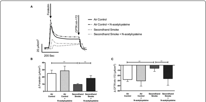 Fig. 5 Antioxidants protect against reduced CFTR function by secondhand smoke (SHS) in vitro