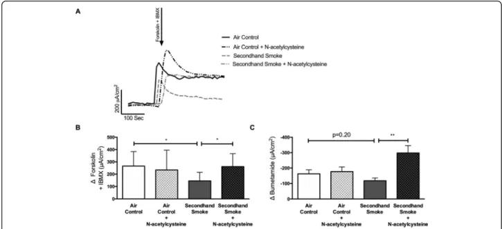 Fig. 7 Pretreatment with N-acetylcysteine (NAC) protects against CFTR dysfunction by secondhand smoke (SHS) in murine airways