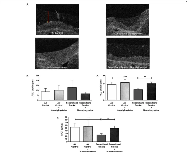 Fig. 8 N-acetylcysteine (NAC) prevents secondhand smoke (SHS) effects on airway surface hydration and mucociliary transport (MCT) in mice