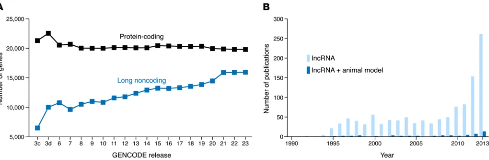 Figure 1. lncRNA biology is a burgeoning field. (A) The number of genes designated as lncRNAs in humans has steadily increased over successive GEN-CODE releases (http://www.gencodegenes.org/releases/) to nearly equal the number of protein-coding genes