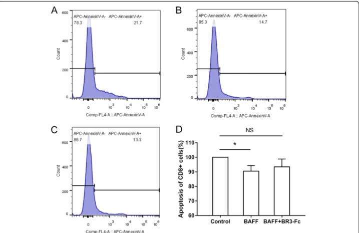Fig. 4 Effects of B cell activating factor (BAFF) on the apoptosis of CD8 + cells from COPD patients