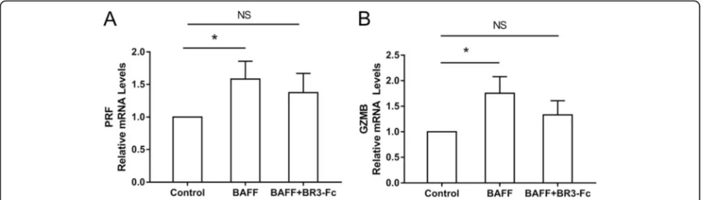 Fig. 6 Effects of B cell activating factor (BAFF) on perforin and granzyme B expression of CD8 + cells from COPD patients