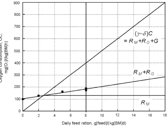 Fig. 5 Oxygen equivalent of several energy components of Eq. 4, as a function of the feed ration, for therespiration, growth respiration (SDA) and growth, respectively.Pointsconditions of the Zakes et al