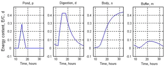 Fig. 7 Simulated compartment energy contents (state variables) for feeding-treatment 1 in terms ofi.e