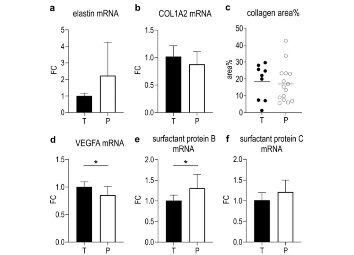 Fig. 8 Effects of prematurity on extracellular matrix components, VEGFA and surfactant proteins