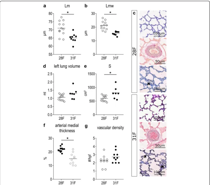 Fig. 2 Structural and functional immaturity of rabbit pups born on day 28 of gestation