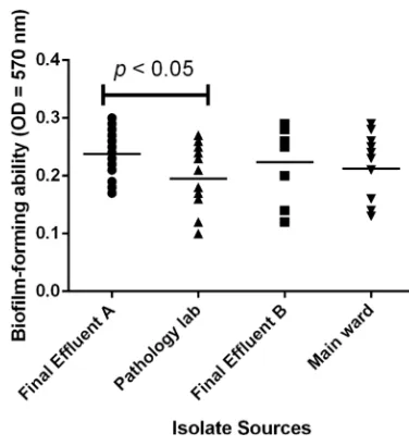 Figure 3 Description of the relative biorelative biocultured in EAOB at 30°C without shaking