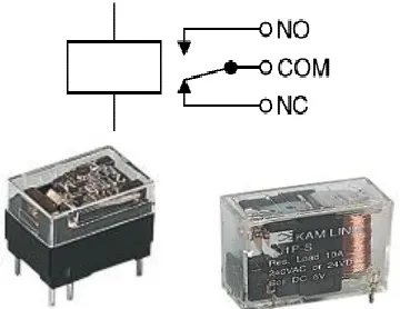 Fig Relay showing coil and switch contacts 