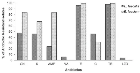Table 3 Antimicrobial Patterns Of E. faecalis Isolates