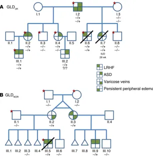 Figure 1. Mutations in EPHB4indicate which samples have been exome sequenced. Genotypes indicated by minus signs (–) represent the WT allele, and plus signs represent (+) the mutant allele