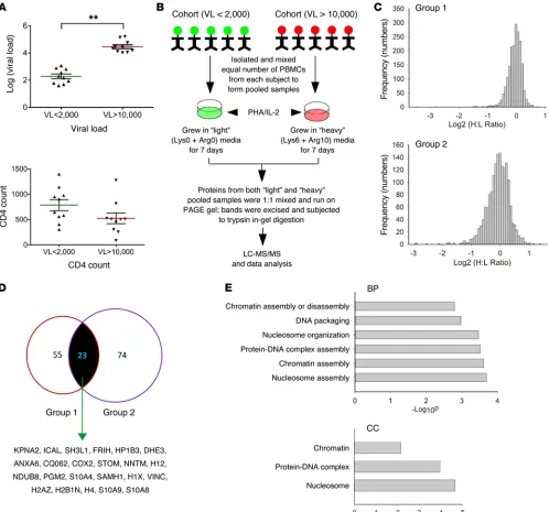Figure 1. Proteomic characterization and bioinformatic analysis of patient samples. (A) Virologic and hematologic profile of the 20 study subjects employed in the initial proteomic screen