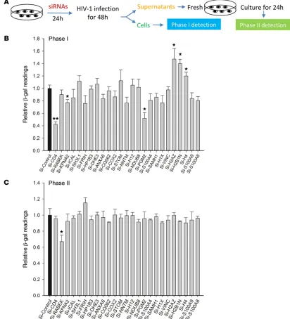 Figure 2. Identification of HIV-1–related host factors by a 2-phase β-gal reporter assay