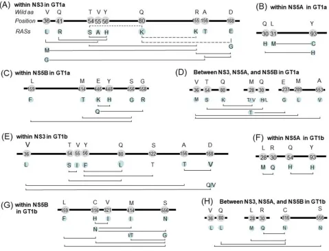 Figure 4 Co-occurring and mutually exclusive RAS pairs within NS3 (and among regions (wild type amino acids, and the characters below the location indicate RASs