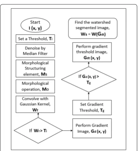 Fig. 4 Core watershed segmentation algorithm (from left to right; top to bottom). Input image, topological surface, water flooded in the surface, water continues to flood, segmentation after completion of flooding