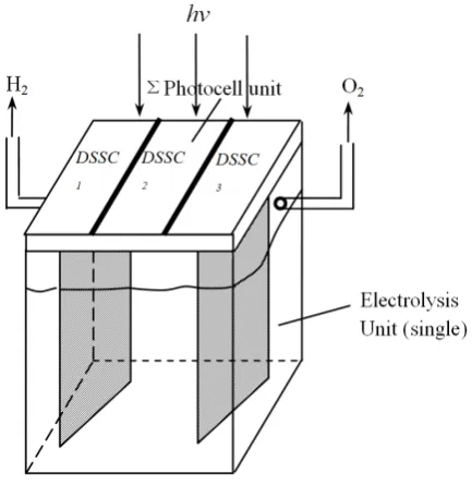 Figure 3 is a schematic diagram of the electrode reaction of water electrolysis process