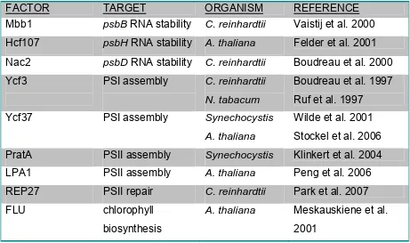 Table 1: Overview of described TPR proteins from photoautotrophic organisms involved in thylakoid  