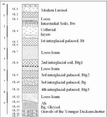 Fig. 3: Detailed palaeopedological profile of the Quaternary sequence Ober- Ober-laab on top of the Younger Deckenschotter (Mindel).