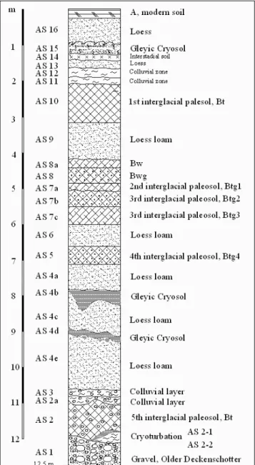 Fig.  4: Detailed palaeopedological profile of the sequence Wels-Aschet on  top of the Older Deckenschotter (Günz).