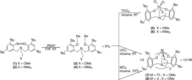 Fig. 1. ORTEP view of (ONOO) 2 Th (7) and (ONOO) 2 U (8). (Ellipsoids