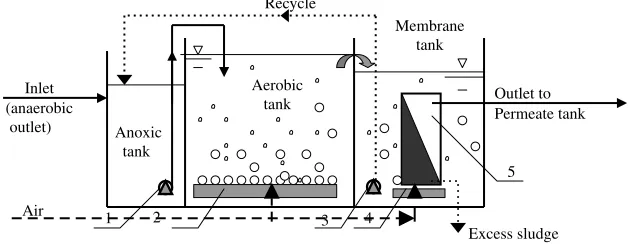 Figure 1 Schematic diagram of the submerged membrane bioreactor experimental (MBR).1–submerged pump, 2–ﬁne bubble air diffusers, 3–recycle sludge pump, 4–coarse bubble air diffuser,5–membrane unit.
