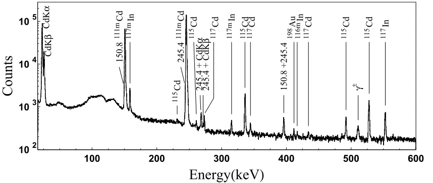 Figure 2. Portion of the x- and γ -ray energy spectrum measured for 15 min with source S2