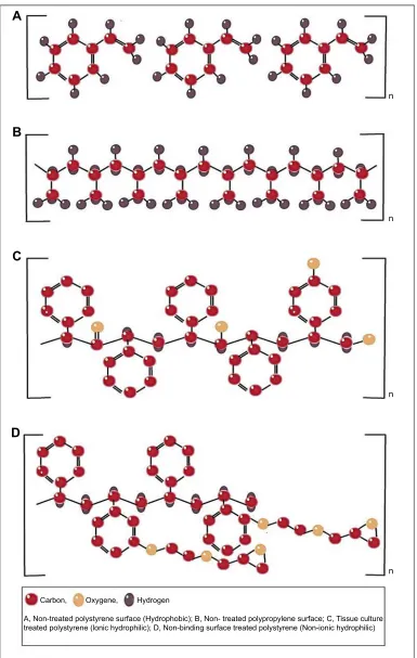Figure 1 Different types of surface modiﬁcation of plates used in broth microdilution assay.